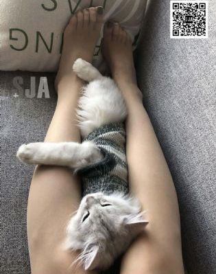 他用力揉捏她大白奶咬视频_国语配音超清