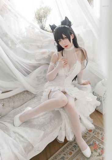 无耻之徒第八季免费观看全集高清_琪琪电影国产在线观看